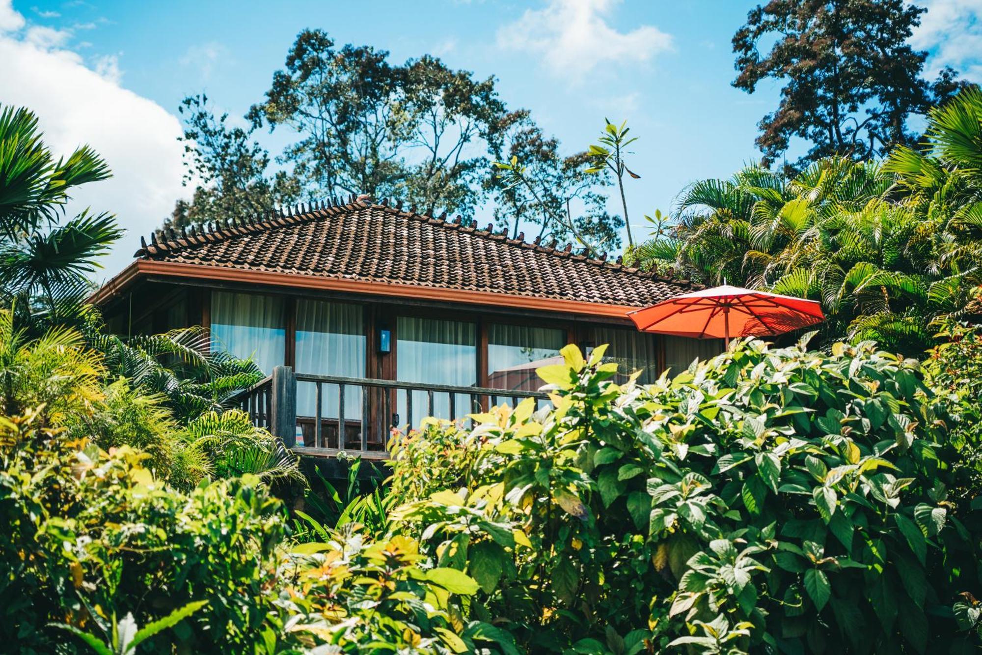 ホテル La Coralina Island House ボカス・タウン エクステリア 写真